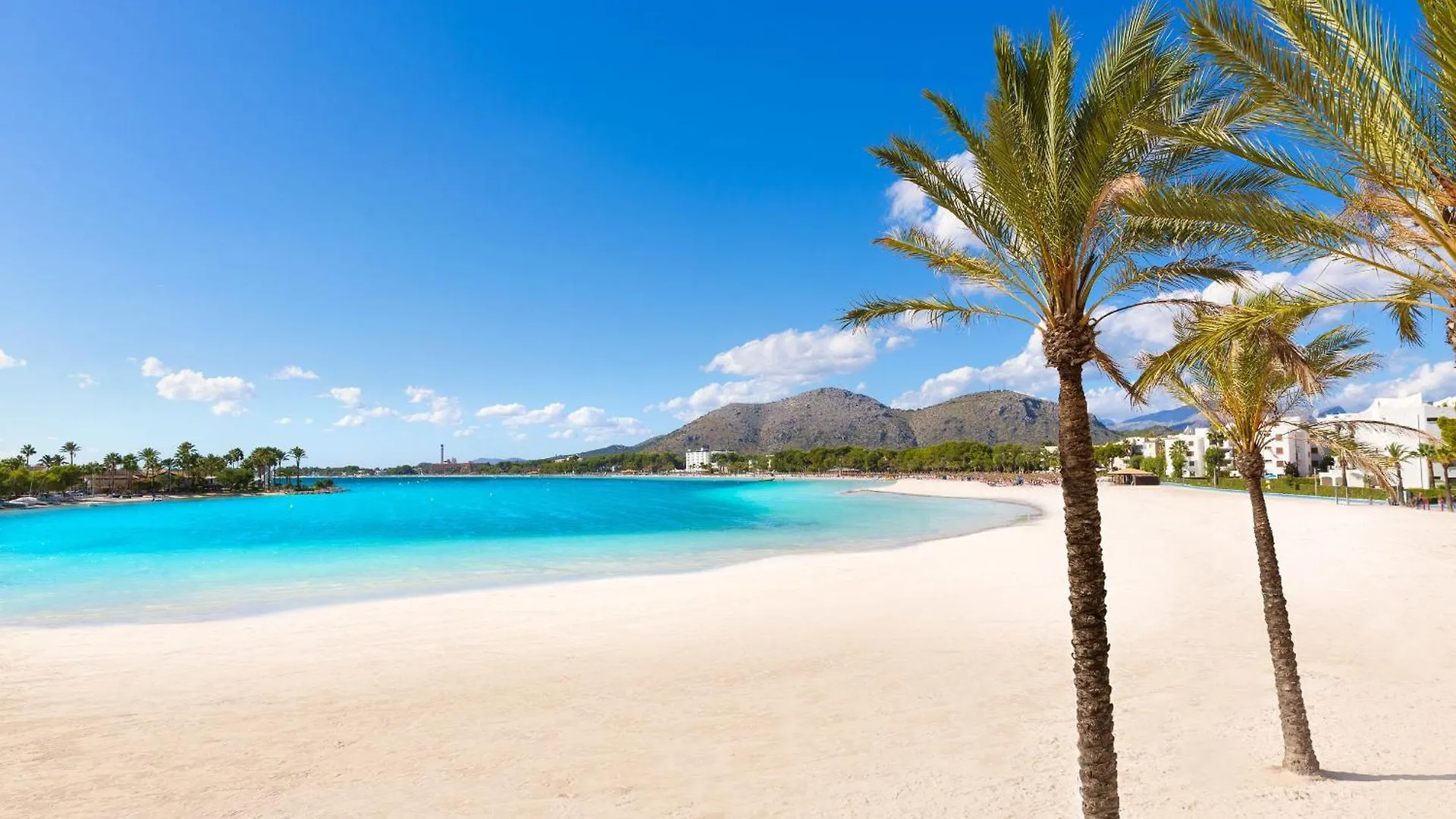 Apartment Casa Bell Punt Alcanada By Mallorca Villa Selection Spain